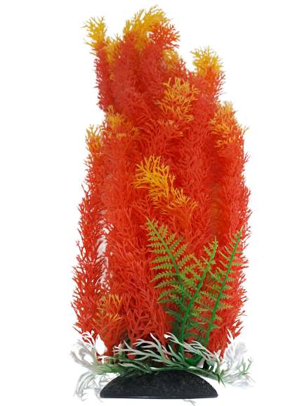 50-52cm Orange Bushy Aquarium Plant, 41-43cm Orange Bushy Aquarium Plant