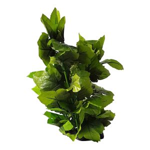 Natural Look Plants, Aquarium Foliage Plant