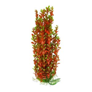 50-52cm Orange Aquarium Plant