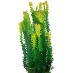 Large Green Plastic Plant