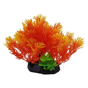 foreground plants, Orange Color Plant on Base